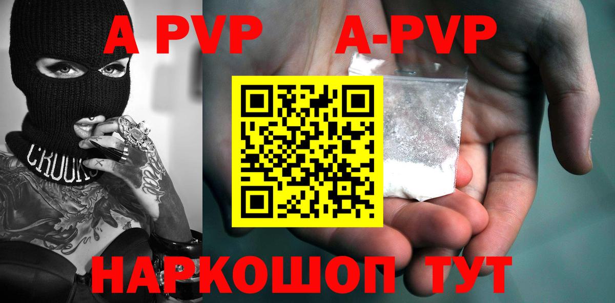 Alfa_PVP СК КРИС Горно-Алтайск