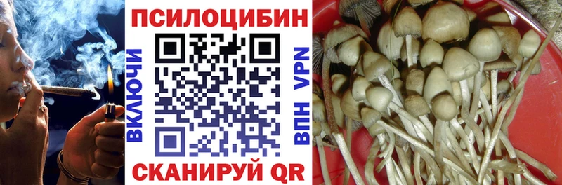 Псилоцибиновые грибы Cubensis  наркошоп  ОМГ ОМГ как войти  Горно-Алтайск 