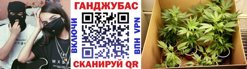 Конопля Amnesia  Горно-Алтайск 